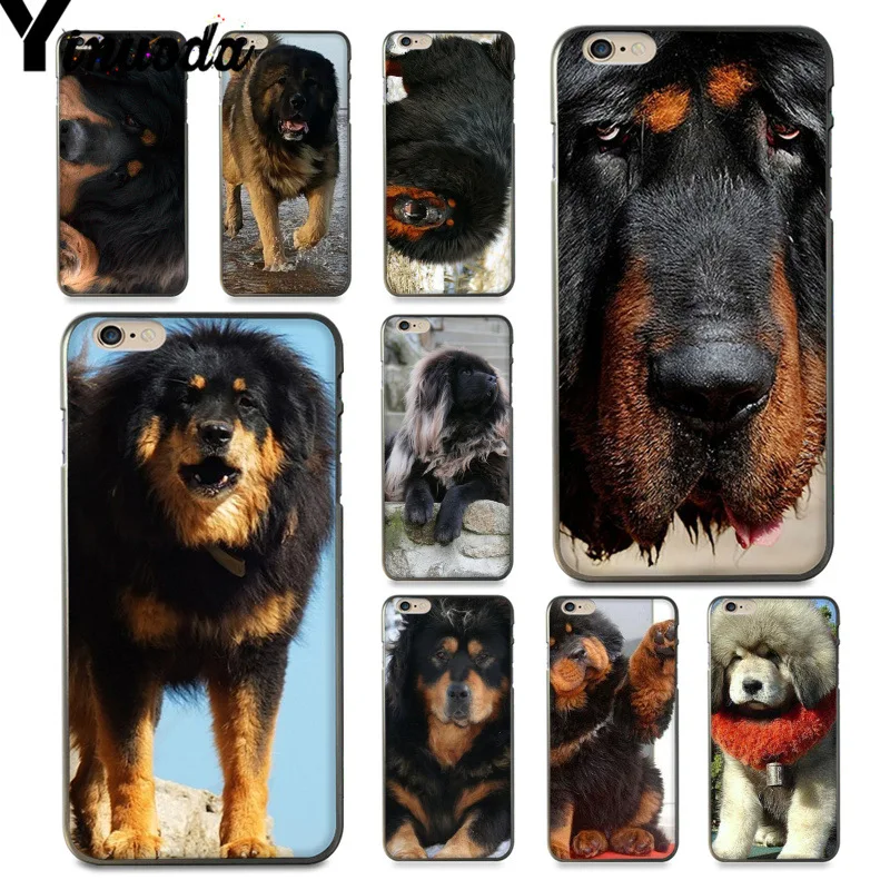 Yinuoda для iphone 7 6 X Чехол Тибетский дог Bling чехол iPhone х 6S 6plus 7plus 8 8Plus 5 5S XS XR XSMAX|Бамперы| |