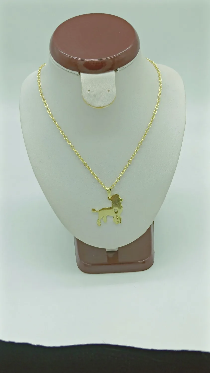 Цвета: золотистый серебристый модная Пудель Цепочки и ожерелья пользовательские