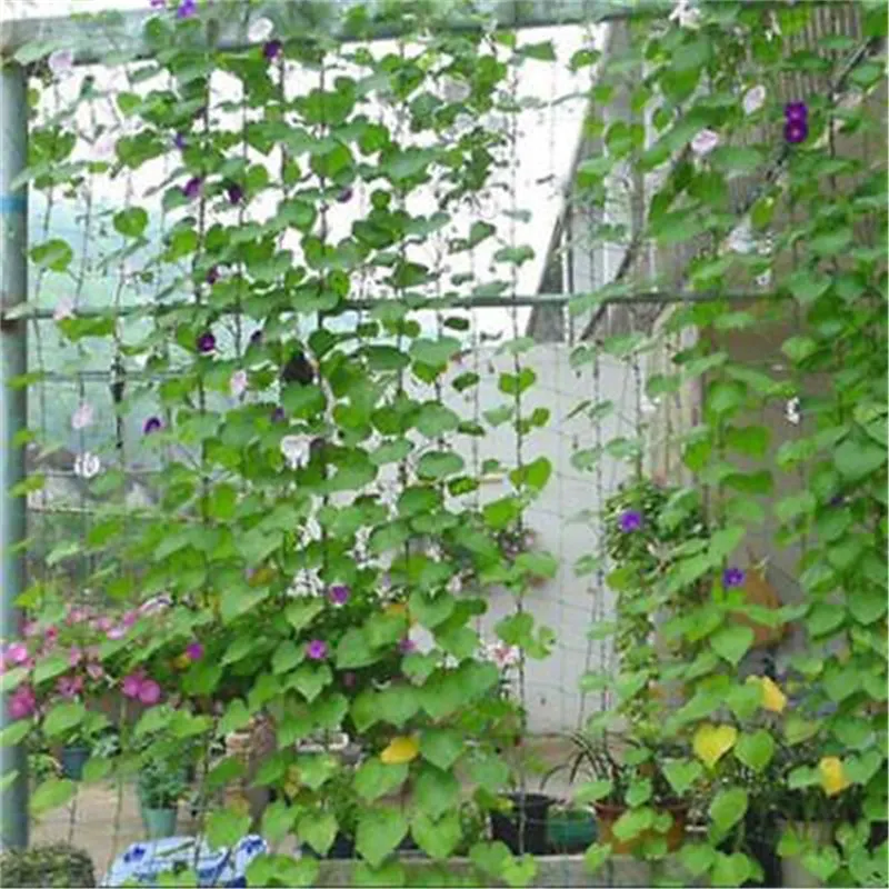 1 8x1 8 м сетка для выращивания бобов садовая зеленая нейлоновая плетения | Дом и сад