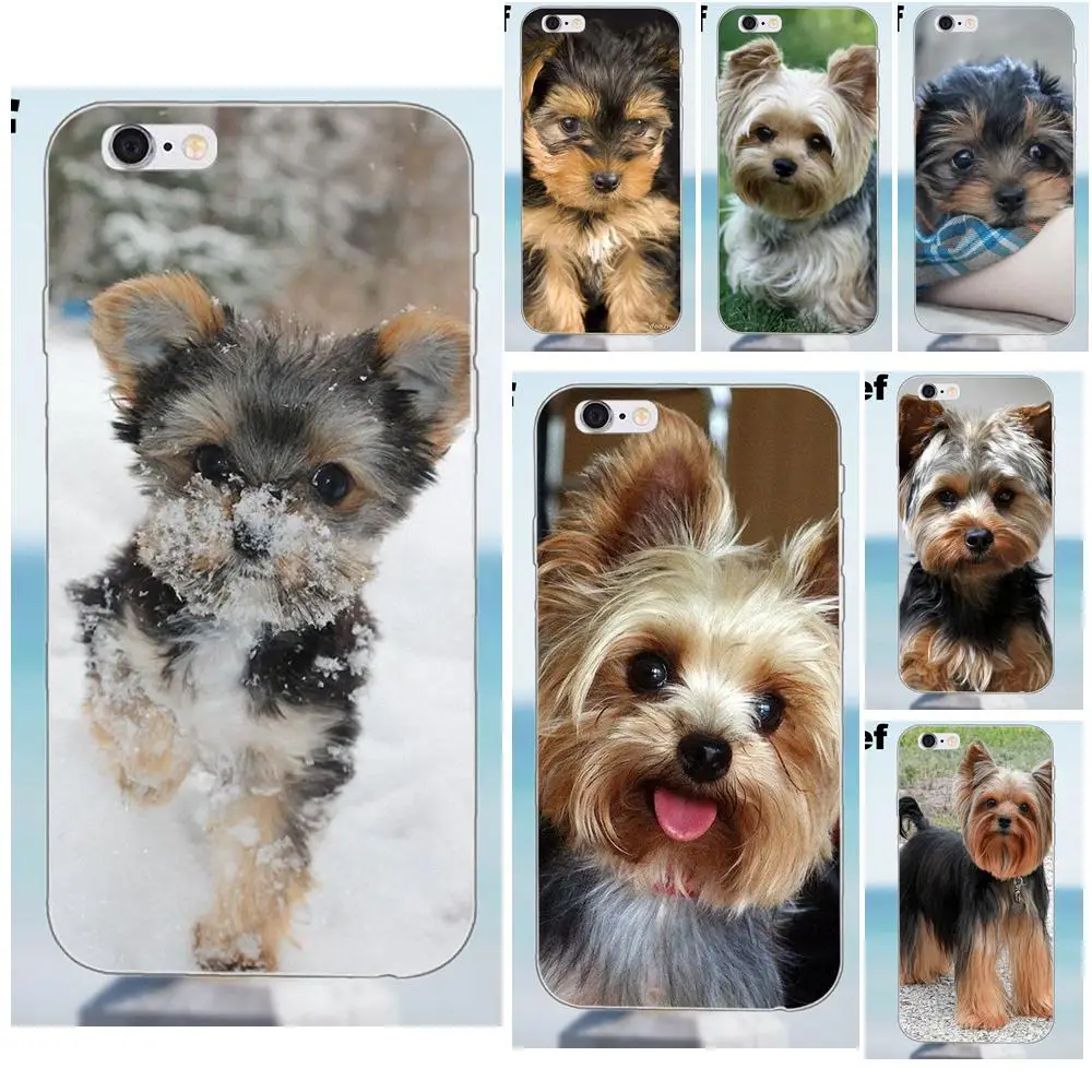 Suef йоркширский терьер собака щенок для iPhone 4 4S 5 5S 5C SE 6 6S 7 8 Plus X Samsung Galaxy J1 J3 J5 J7 A3 A5 2016
