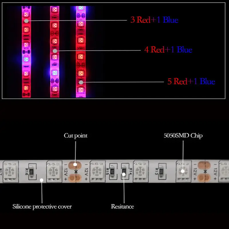 Set 5m 1m Φ set|Светодиодные ленты| |