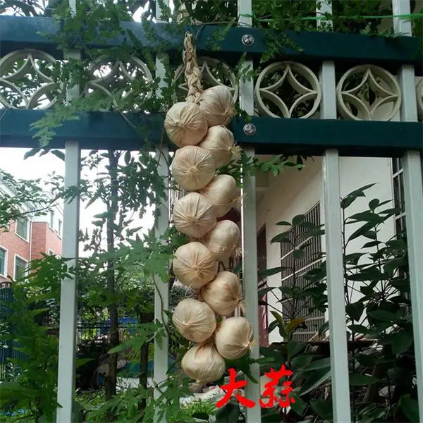 White garlic Имитация фруктов и овощей DIY праздничные принадлежности искусственный декор для ресторана кухни дома настенный Декор Поддельные - Цвет: White garlic