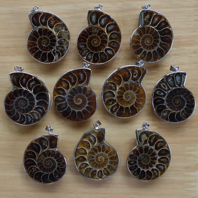 Beautiful Natural Stone Ammonite Fossils Seashell Snail Pendants Ocean Reliquiae Conch Animal Necklaces Statement Men Jewellery|natural