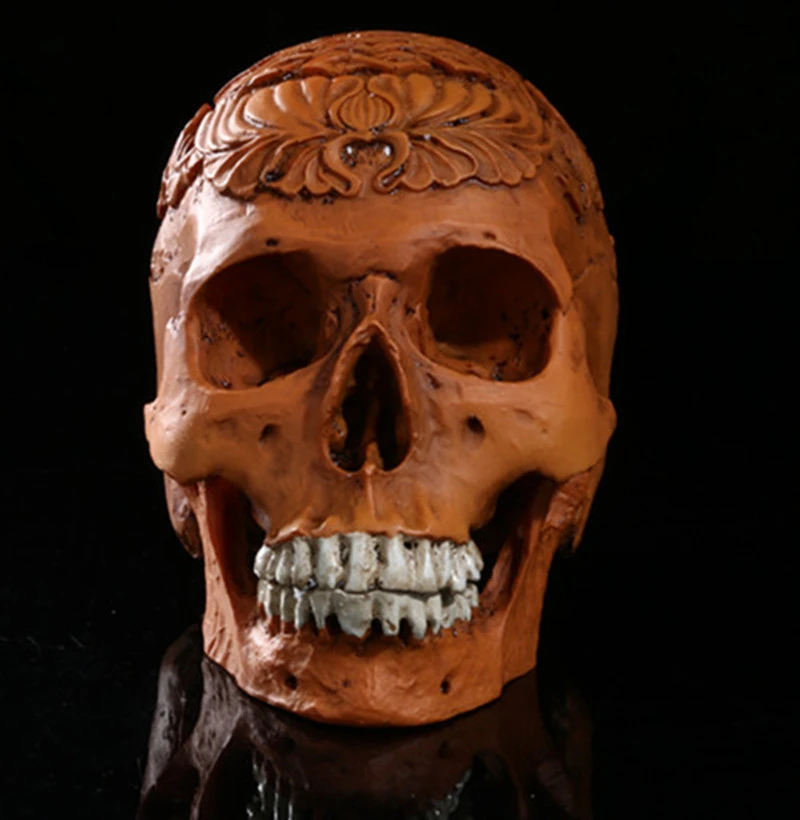 Модель человеческого черепа медицинское обучающее оборудование орнамент из