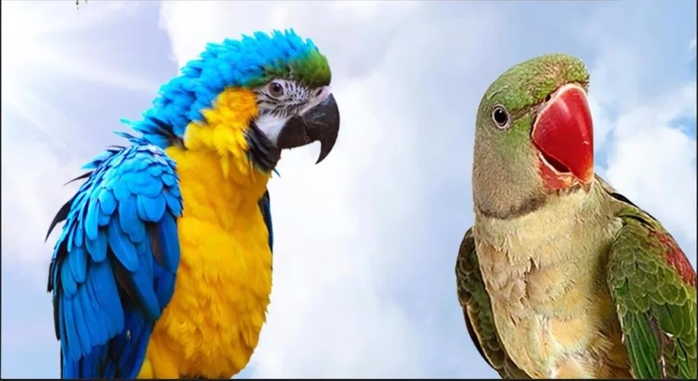 WDBH Пользовательские настенные 3d фотообои Средиземноморский Природный кокосовый