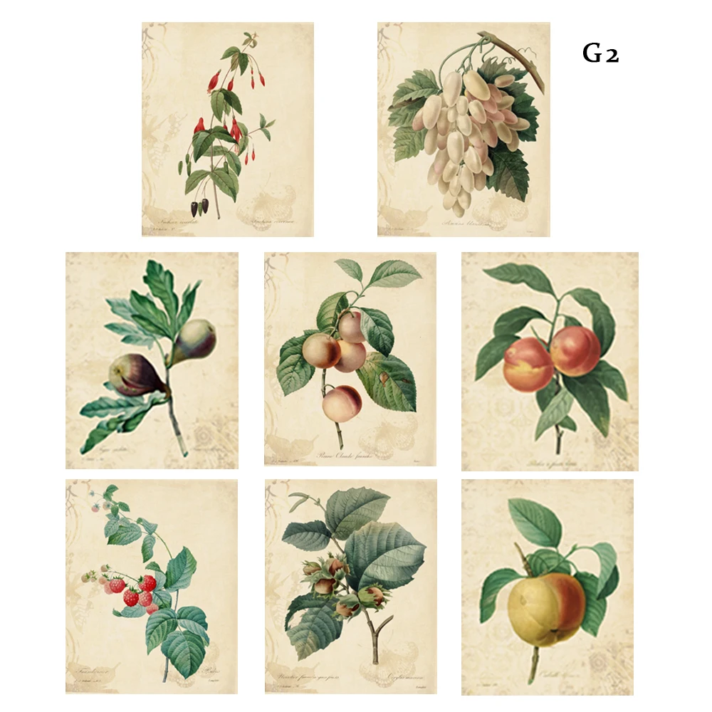 Винтажный рисунок фруктов в акварельном стиле 8 1/Настенный декор для растений