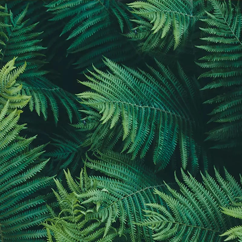 Пользовательские настенные росписи печатных стены Бумага зеленые листья