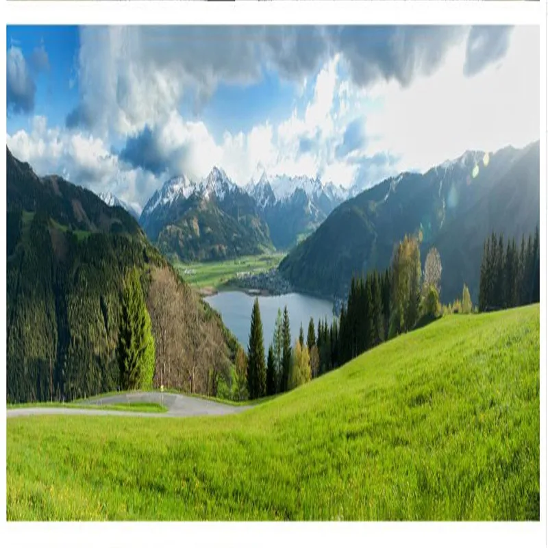 Настенная панель 3d обои Снежная открытая Зеленая космическая фотография Фон