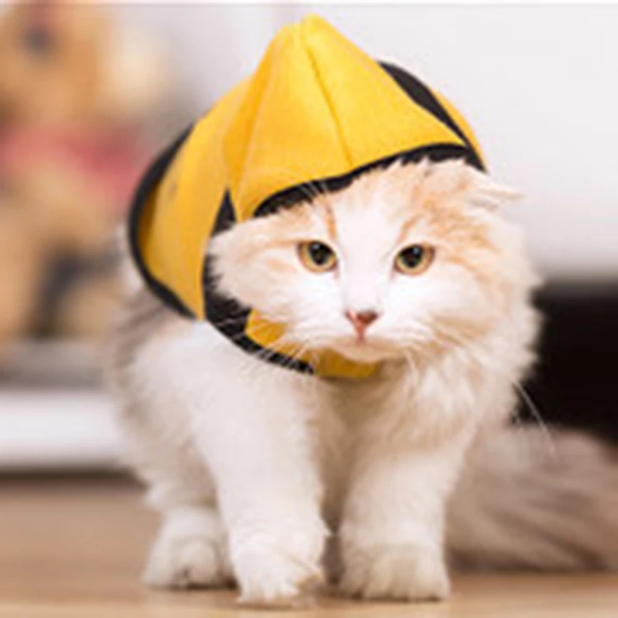 Зимняя теплая одежда рубашка с рисунком кота осенние куртки капюшоном Chaleco Gato