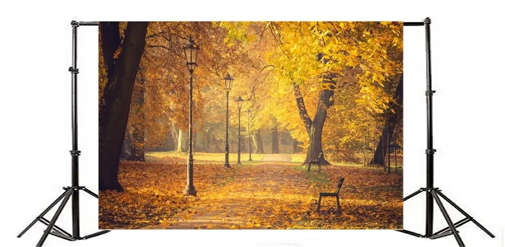 Фон для фотосъемки скамейка в осеннем парке желтые листья дорога свет природа