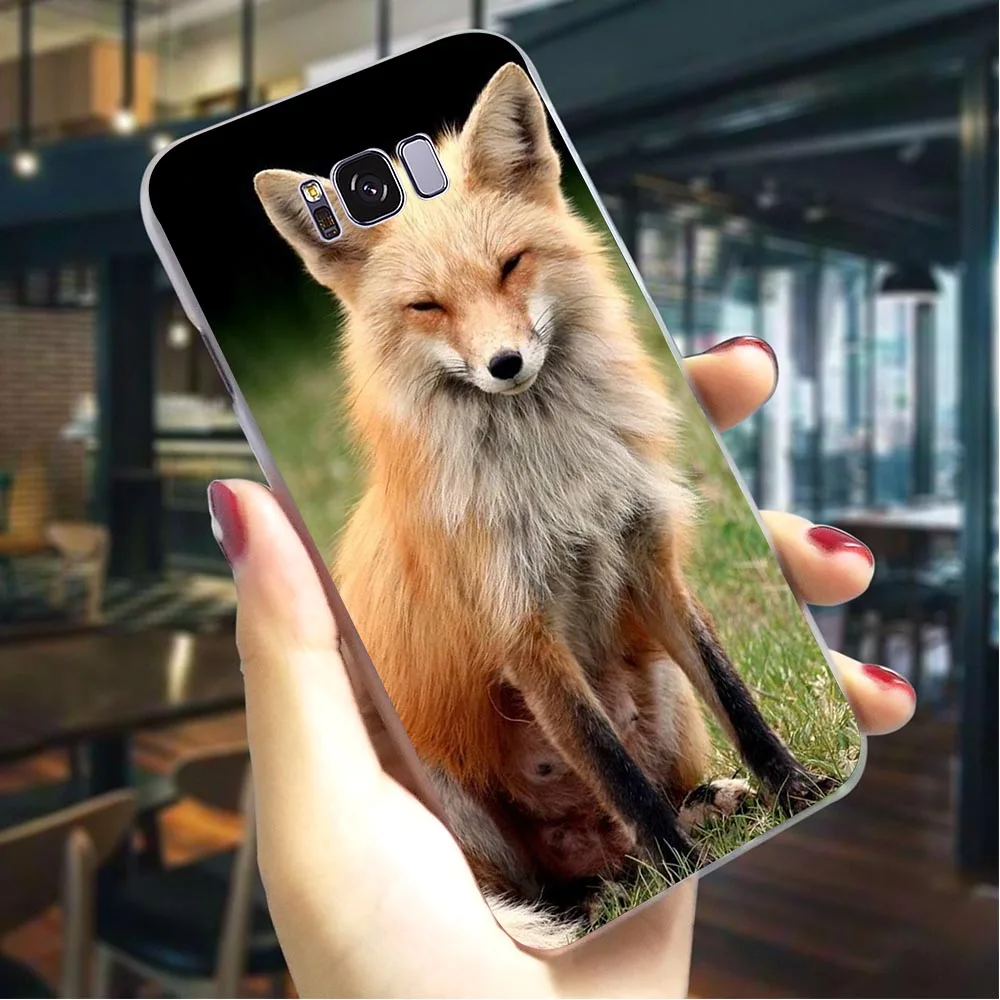 Аниме лиса Забавный Foxs чехол для телефона samsung S6 Обложка Note 8 9 M10/M20/M30 Galaxy S6/S7 Edge S8/S9/S10 Plus S10e - Цвет: K0007011