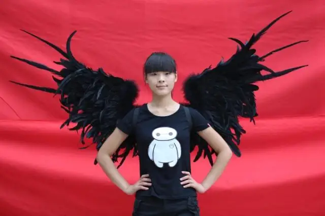 EMS Бесплатная доставка Индивидуальные сексуальные черные крылья Ангела пера для