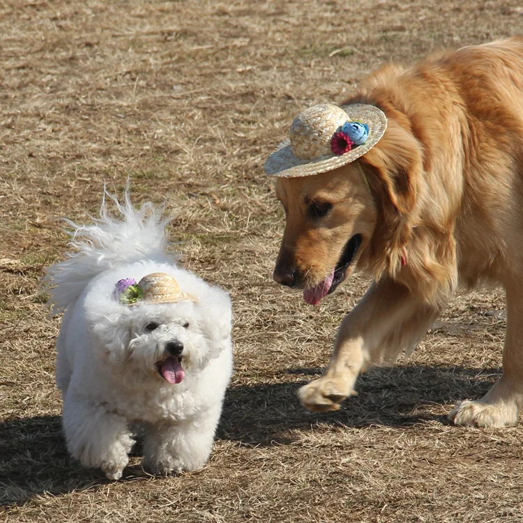 Cute dog straw hat Cap with Adjustable Chin String funny cowboy party costume handmade Dog Grooming hair wedding accessories | Дом и сад