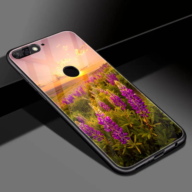 DIY фото настроить чехол для телефона Coque huawei Y9 закаленное стекло крышка для huawei y9 p20 pro honor 10 lite honor 8x max
