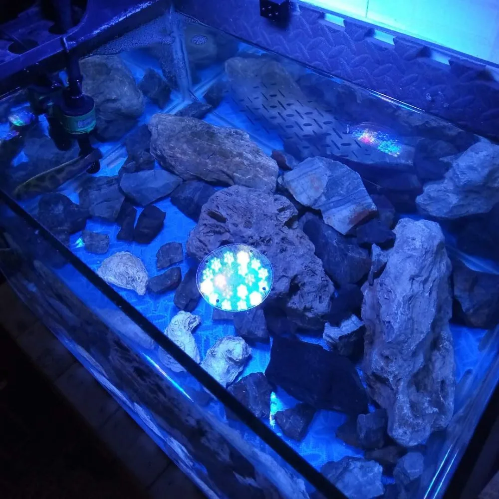 Black spotlight LED Aquarium light led pet Lighting fish tank lamp plant bulb 50/54W for saltwater marine coral reef sump algae