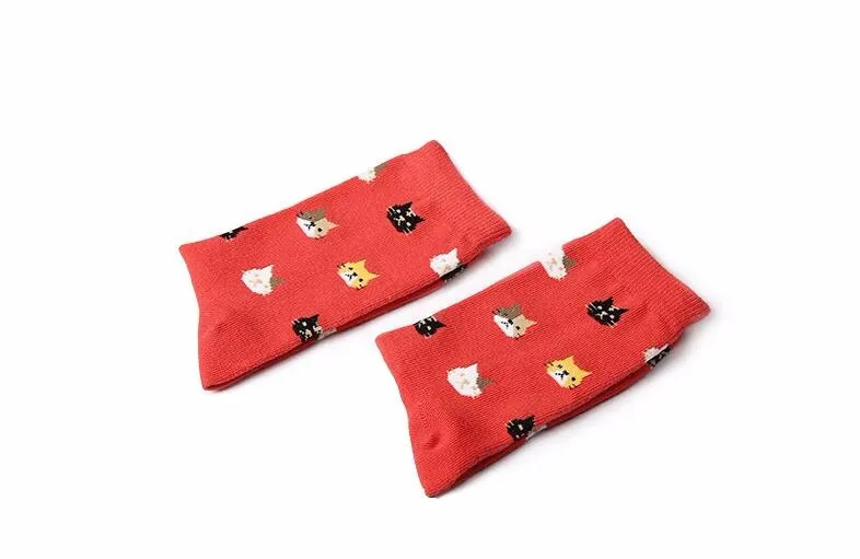OLN 36 46 хлопковые носки для женщин милые с животными корейские котом Chaussette Femme 5 пар