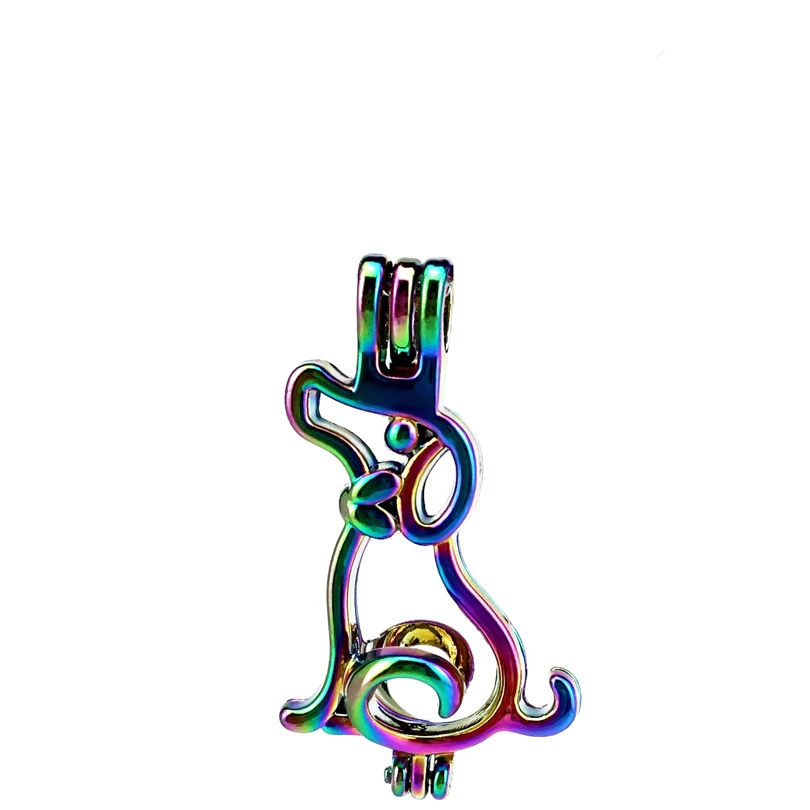 C807 5 шт./лот бусины радужной расцветки для щенка собаки жемчужная клетка медальон Подвеска жемчужный медальон сказовечерние