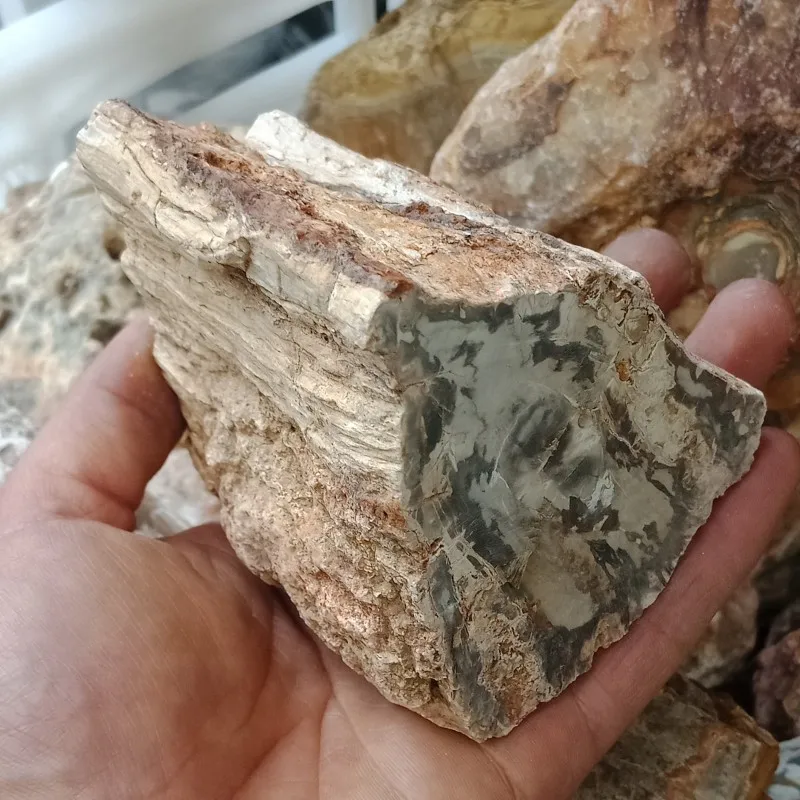 DHXYZB 1 кг натуральная окаменелая древесина окаменелый оригинальный камень сырой