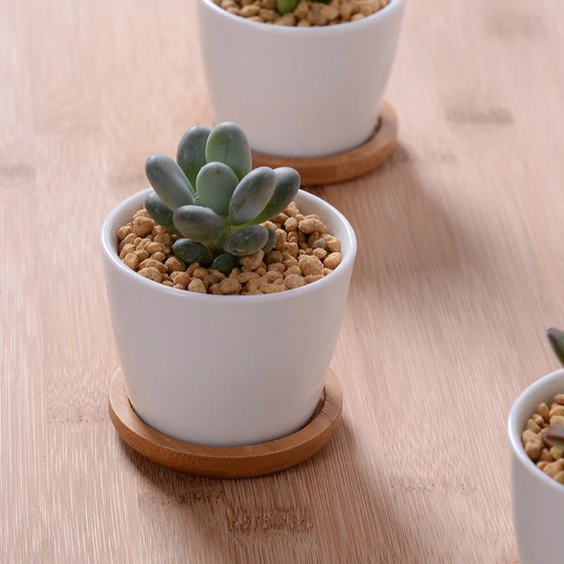 Домашние белые керамические горшки ремесла керамика с бамбука лоток мини белый