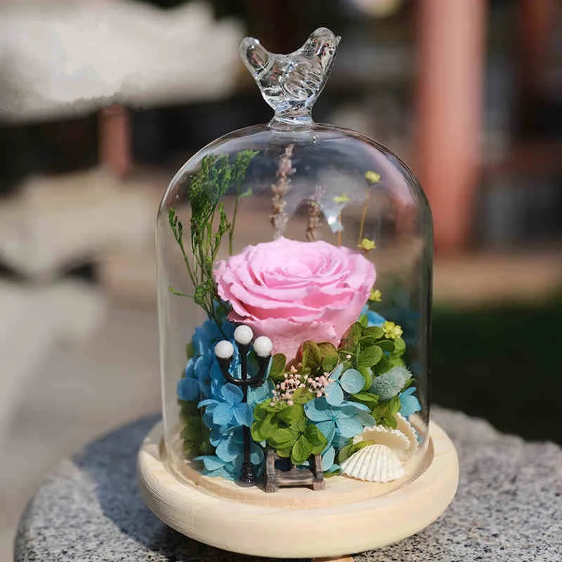 Стеклянная крышка колокол для купола птицы прозрачный контейнер террариума