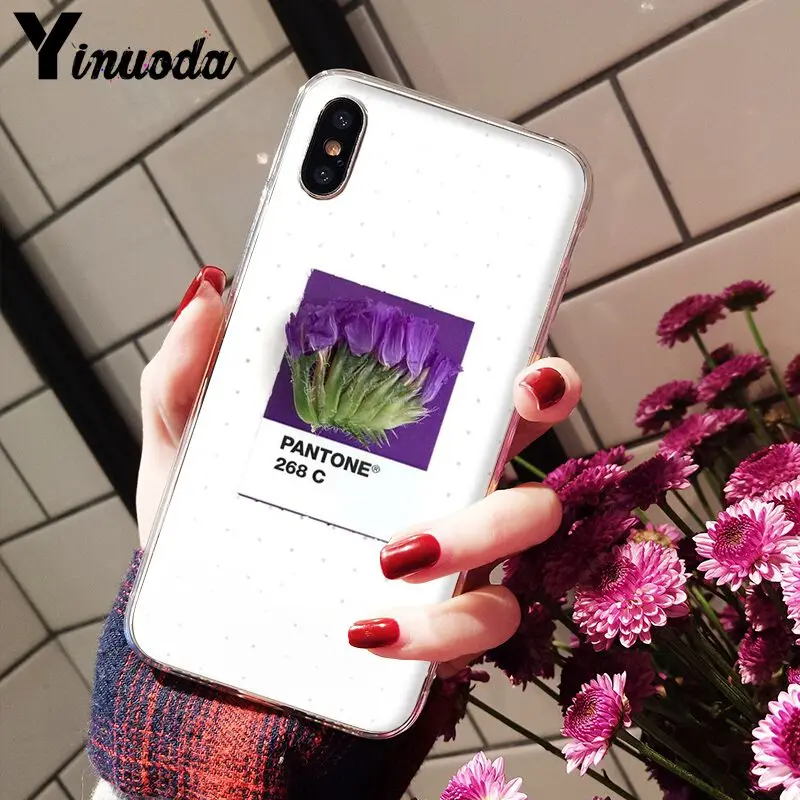 11pro MAX Pantone яркие цвета цветок Новое поступление Прозрачный чехол для мобильного