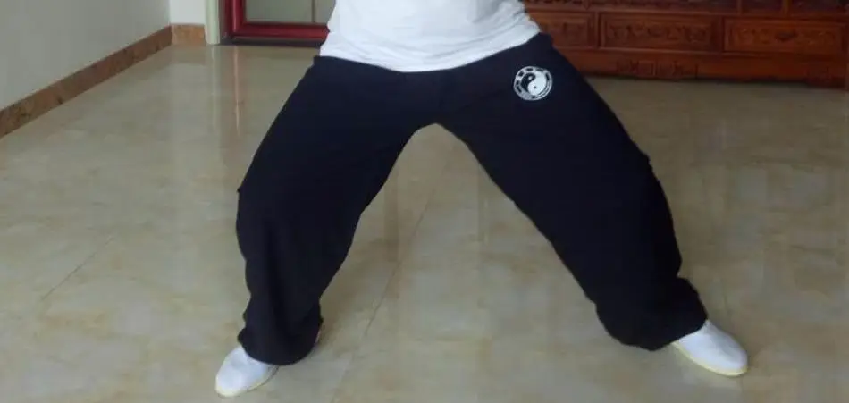 Хлопковые Штаны taichi taiji унисекс высокого качества брюки для боевых искусств кунг
