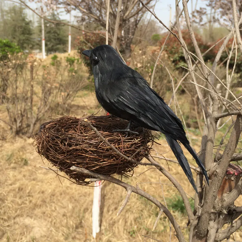 

Halloween Real Life Bird Feathers Crow Toys Magic Props Model Halloween Display Decoration Gift About 18cm Gifts Juguetes