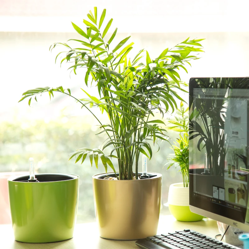 Новые полипропиленовые автоматические кастрюли для полива с наконечниками