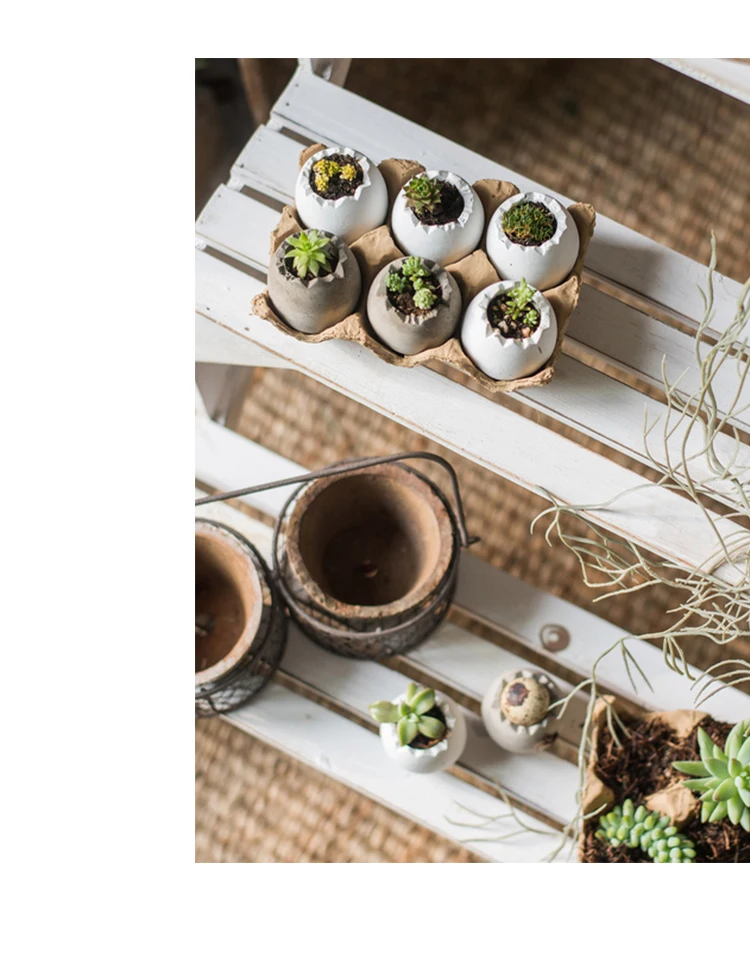 6 шт./компл. Мини Малый трещины яичной скорлупы Форма горшок для растений, бетонные суккулентные растения горшок держатель для сада фей, кактус цветочные горшки для выращивания