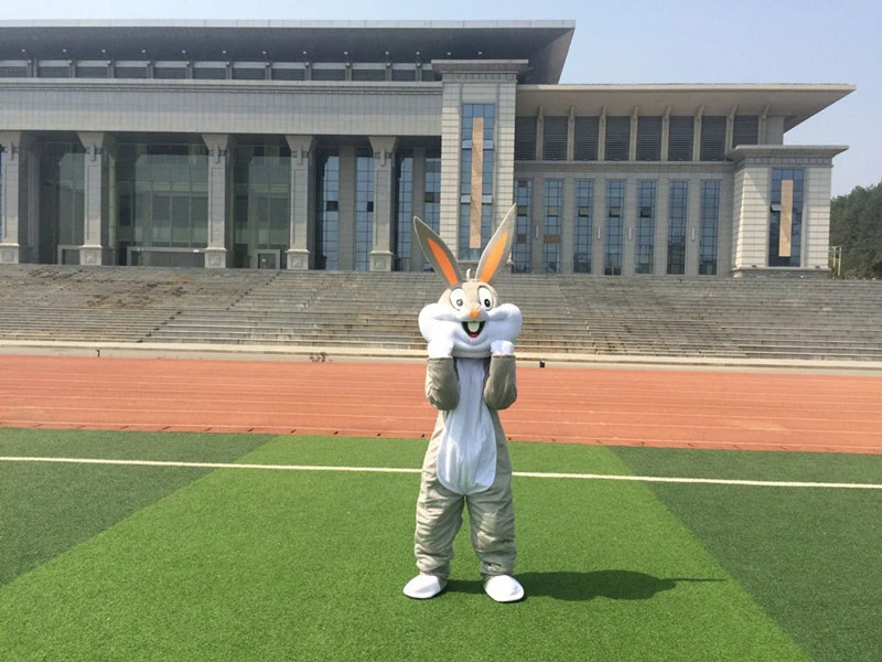 Горячая распродажа! Косплей фестиваль специальный Пасхальный кролик взрослый