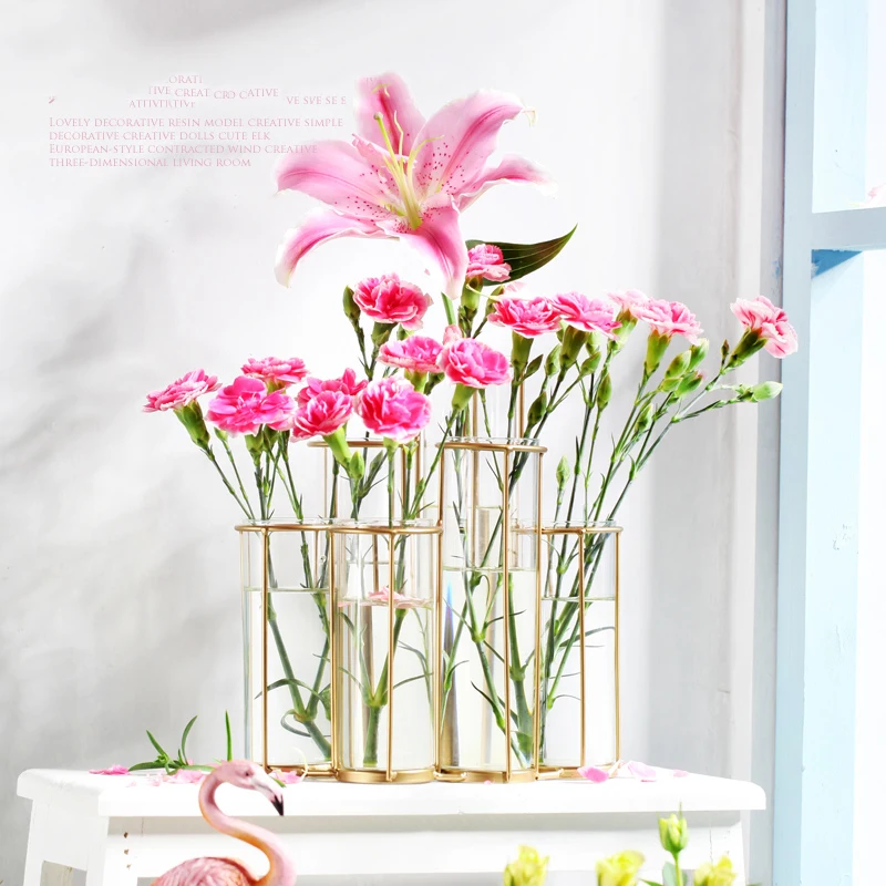 Новая Скандинавская креативная стеклянная ваза 6 гидропонных ВАЗ железная