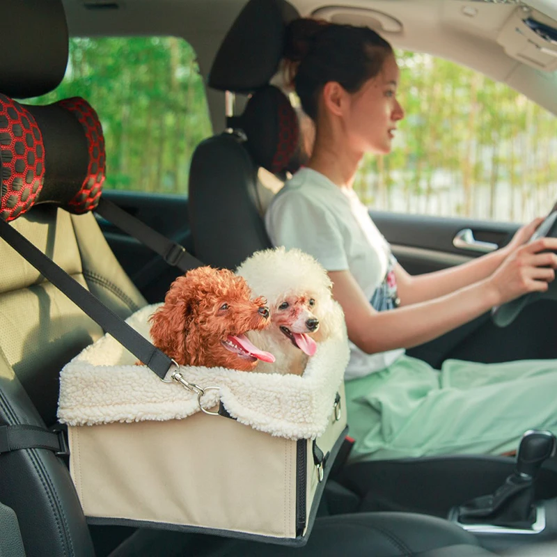 TAILUP 2018 осенний новейший Рюкзак кенгуру для маленьких собак с подкладкой съемный