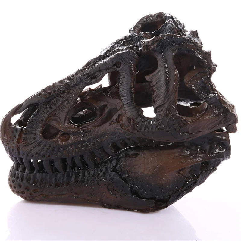 

Simulation of Tyrannosaurus skulls resin handicraft interior decoration teaching research resin Skull KLGT013