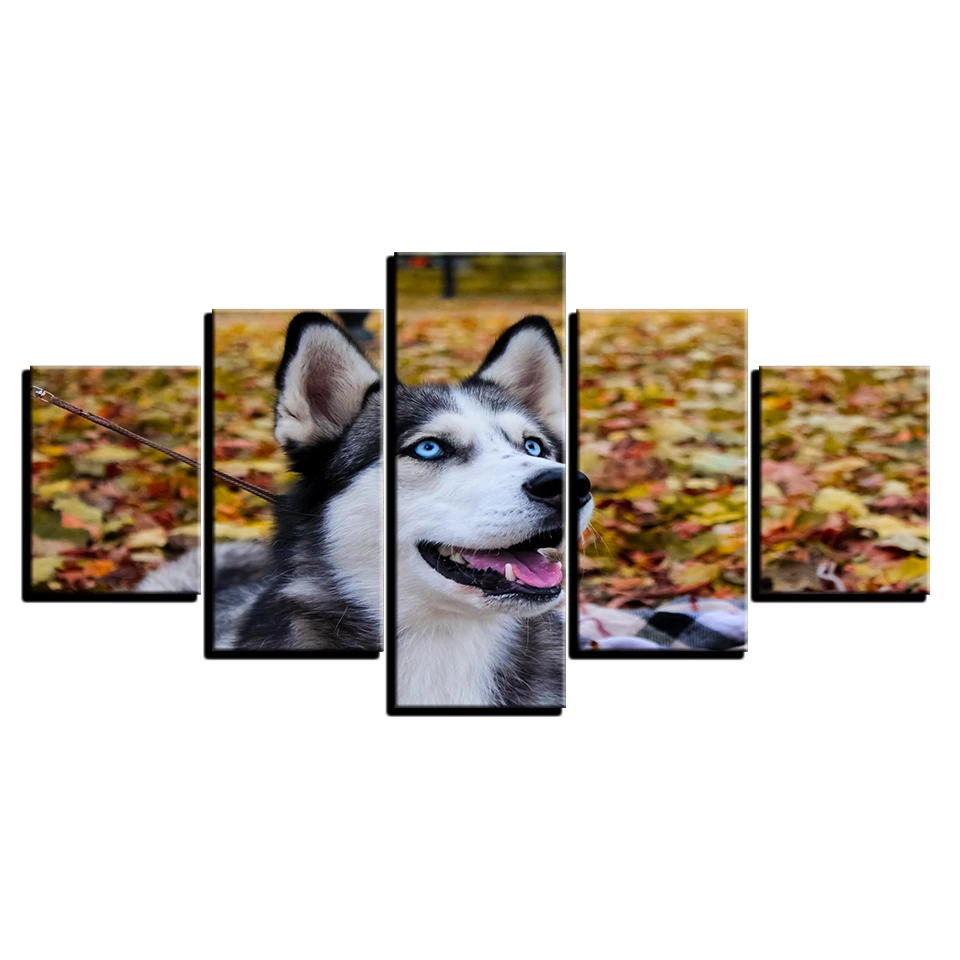 Oturma odsi Için tuval HD baskilar Resimleri Duvar sanati Çerçeve Ev dekor 5 Parça Hayvan Husky Pet Resimlerinde Mavi gézler Kero | Дом и