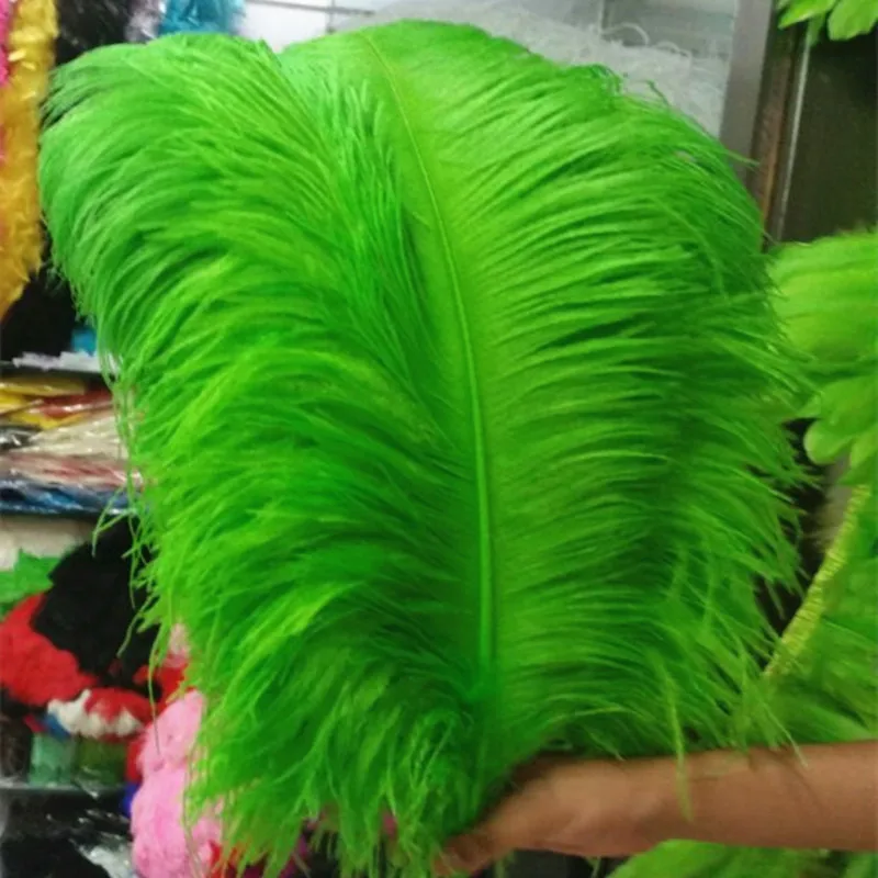 

High quality 10PCS Thick pole ostrich feather green ostrich plumage 55-60cm/22-24inches plume artware performing decorations