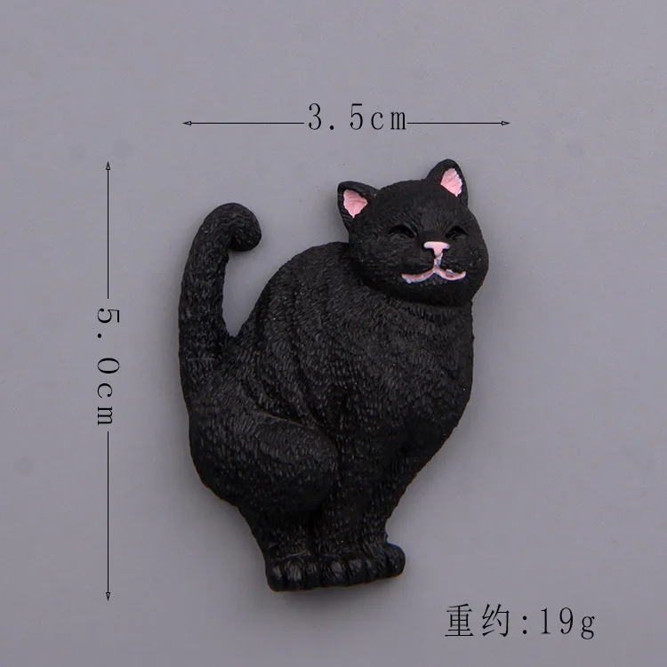 Япония дерьмо с изображением кота из мультфильма и 3D фигурку магнит мультфильм