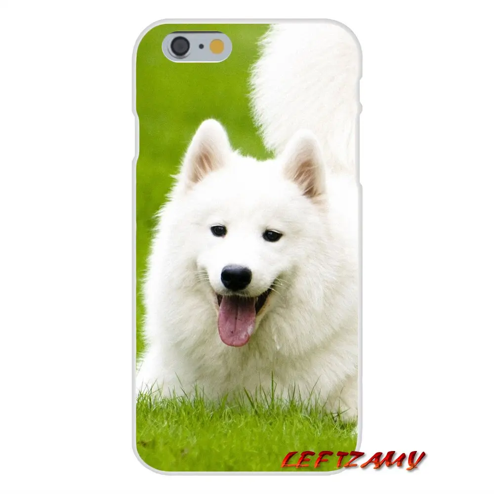 Прекрасный Samoyed собака для iPhone X XR XS MAX 4 4S 5 5S 5C SE 6 6S 7 8 Plus ipod touch Аксессуары чехлы