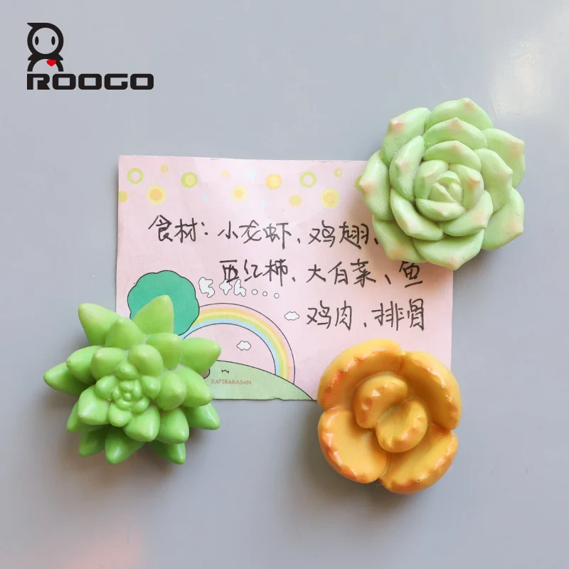 Roogo магнитные суккулентные растения на холодильник мини 3D фотообои для дома