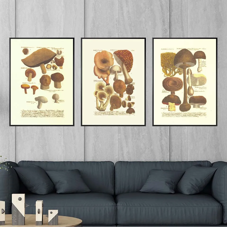 Декор для дома Живопись на холсте Постер и печать Рисунки для гостиной Масло Нерамочные Рисунки Грибы.