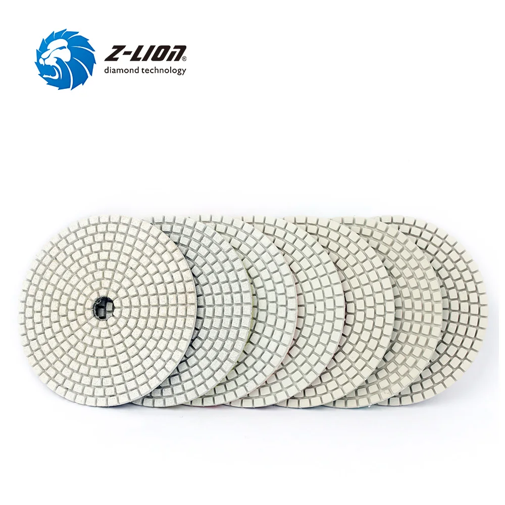 Z-LION 4
