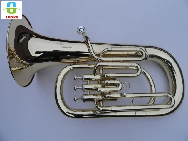 

B tone three legislation on the bass holding hold number instrument