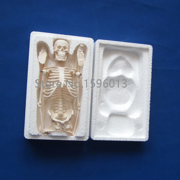 Горячая Распродажа модель Φ 45 см человеческого скелета|mini diecast models|mini fashionmini p |