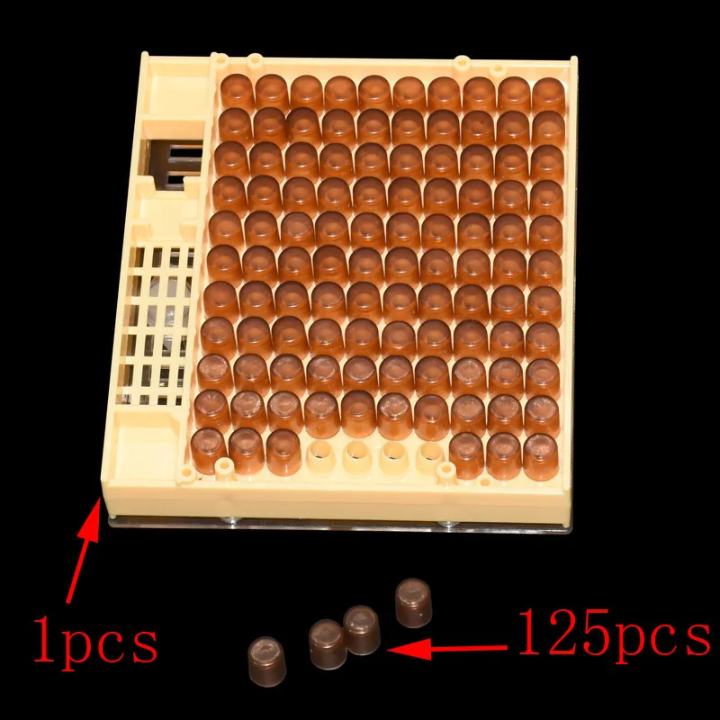 1 компл. Пчеловодная королева Rearing Cupkit коробка 125x коричневая ячейка CupsSystem инструменты пчелиный Хранитель принадлежности для пчеловодства - Цвет: 1x125pcs
