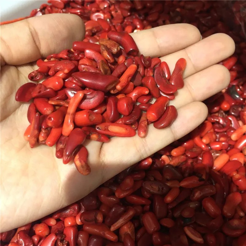 Красивые натуральные камни и минералы красный коралловый камень крошечный для