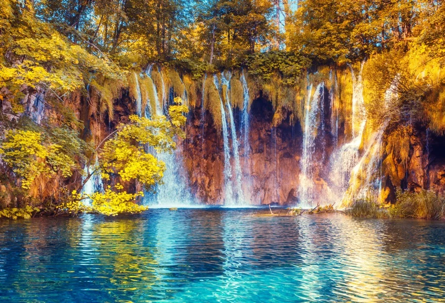 Laeacco Зеленый Природный Горный водопад трава дерево обои Сцена фотография фон, фото-декорации фотосессия Фотостудия