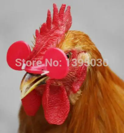 

1000pcs/lot Chicken Glasses With Hole Chicken Goggles Anti-pecking Glasses Chicken Farming Equipment