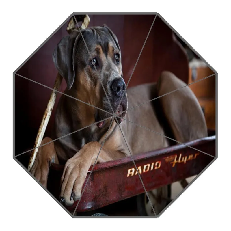 6 Custom Cane Corso Dog Umbrellas Polyester Fabric High Quality Sunny And Rainy Umbrella Non-Automatic Umbrella For Adults - Цвет: 6