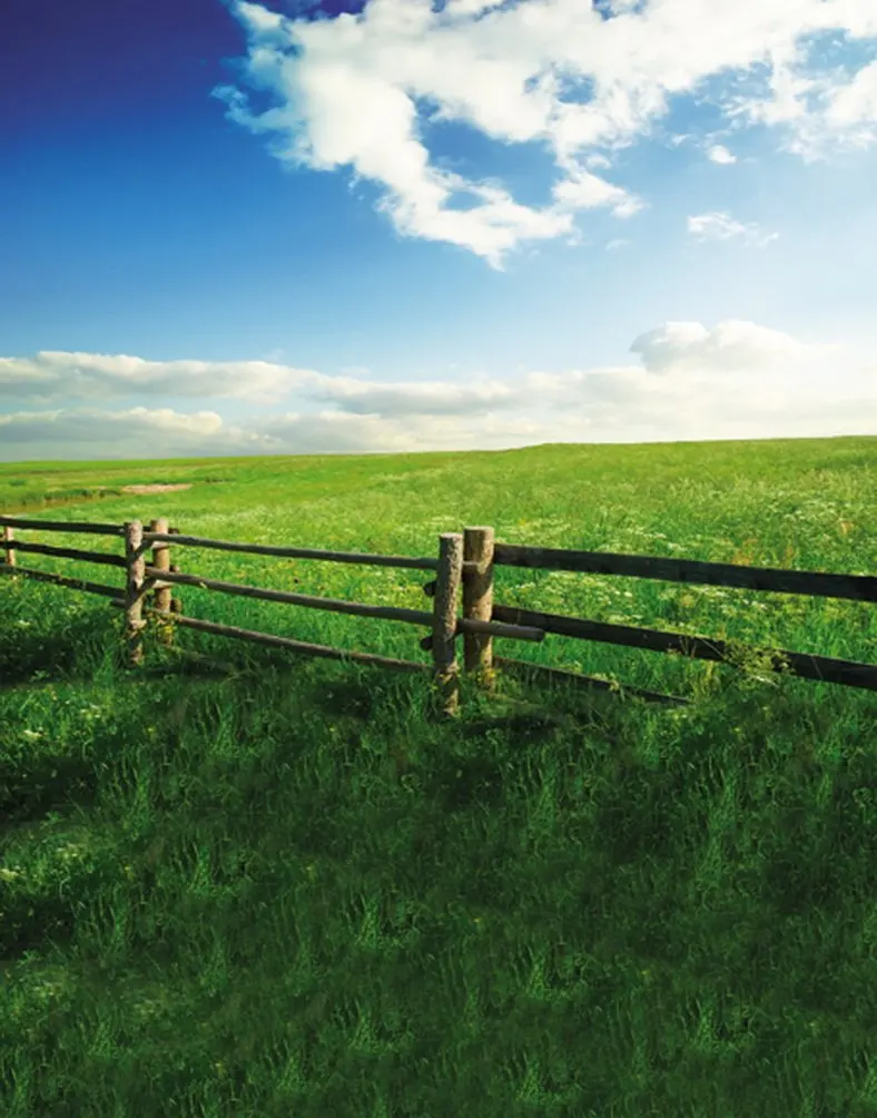 

Green Greenland Photography Backdrops Photo Props Studio Background 5x7ft