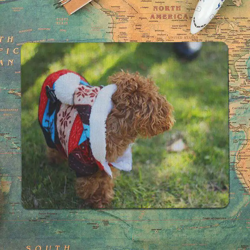 

MaiYaCa Beautiful Anime Dressed dog Laptop Computer Mousepad Size 180x220mm 250x290mm Small Mouse pad