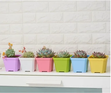 Высокое качество большие площади Цветочные горшки цветочные Разноцветные